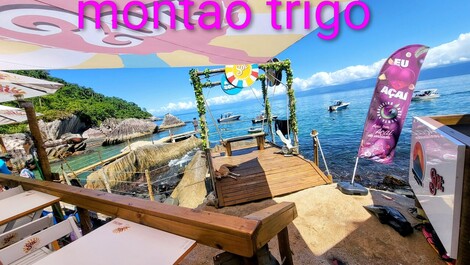 Disponible para Carnaval!!!