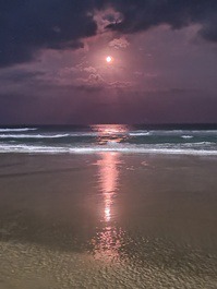 Apartment for rent in Florianopolis - Praia dos Ingleses