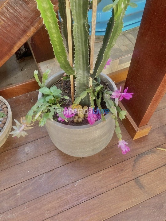 Casa para aluguel de temporada em Armação dos Búzios (Praia de Manguinhos)