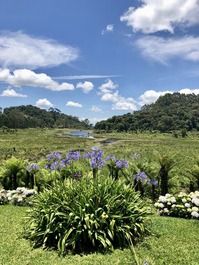 Casa Hortênsia com lago 300m da estrada Cunha-Paraty