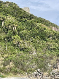 Acesso a pedra alta vista no canto esquerdo da prainha