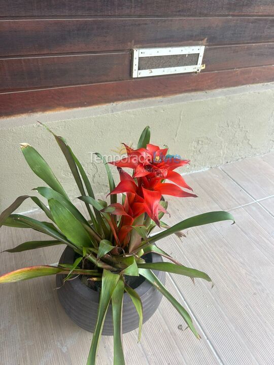 Ranch for vacation rental in Maceió (Ipioca)