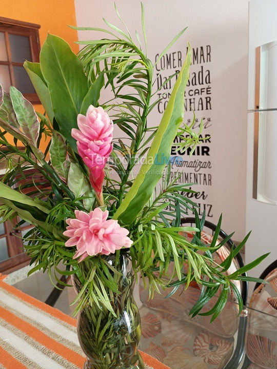 Casa para aluguel de temporada em Paraty (Princesa Isabel)