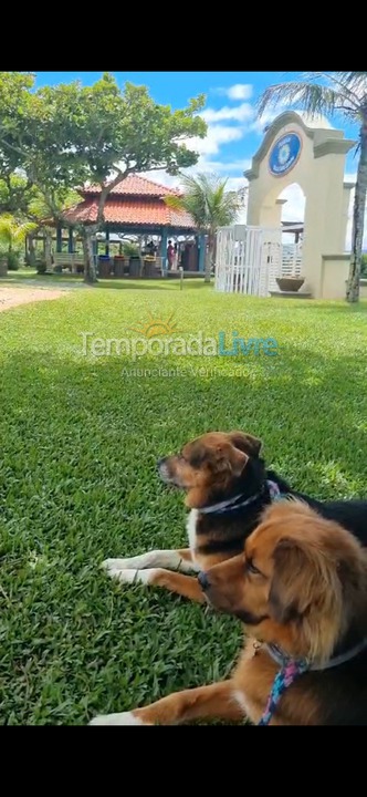 Apartment for vacation rental in Florianópolis (Jurere Tradicional)