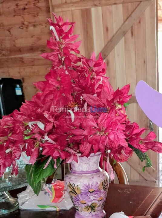 Chácara / sítio para aluguel de temporada em Anitápolis (Rio do Ouro)