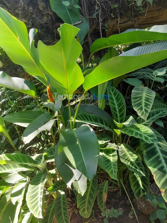 Apartamento para alquiler de vacaciones em Paraty (Graúna)