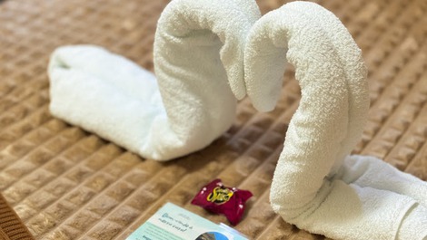 Linda casa em Praia do Forte