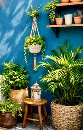 Swimming pool and covered barbecue area