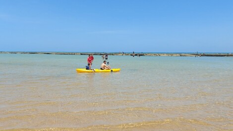 José Jaime Vasconcelos Cavalcanti