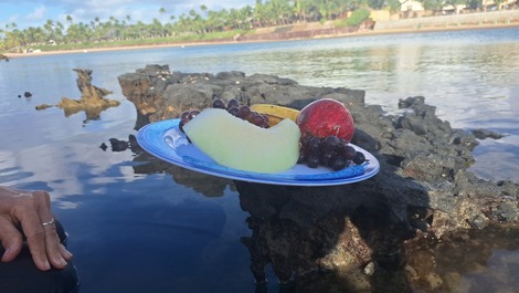 Residencia Ekoara Prime Beach