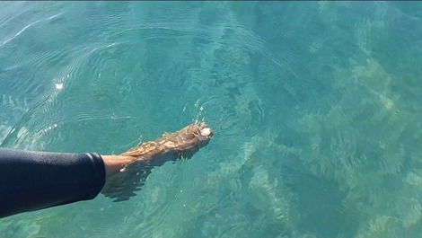 Residencia Ekoara Prime Beach