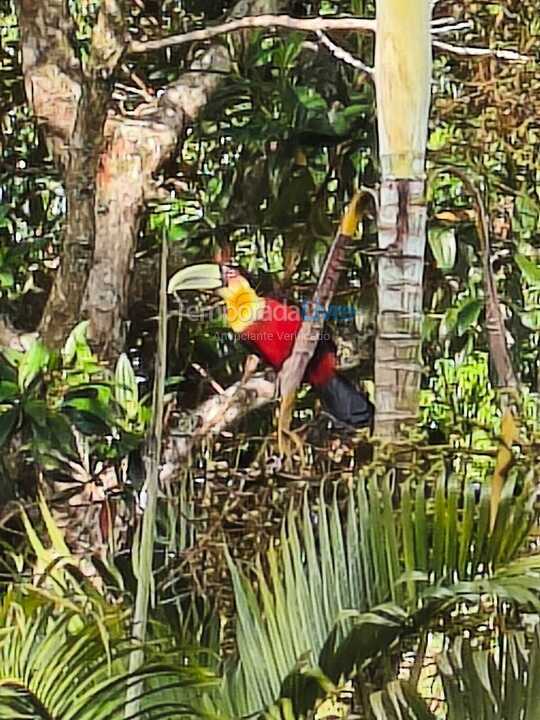 Ranch for vacation rental in Ibiúna (Condominio West Lake)