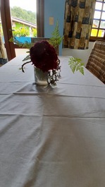 Orchid Apartment, 600 meters from the beach.