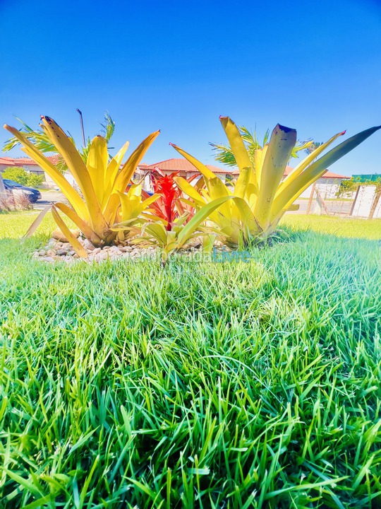 Casa para alquiler de vacaciones em Armação dos Búzios (Praia da Baía Formosa)