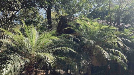 Refugio en el Bosque Atlántico Sauna · BBQ · 50 min de São Paulo