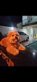 Casa paracuru a sua vibe!🌞😎