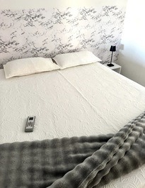 House with pool in Mineiros