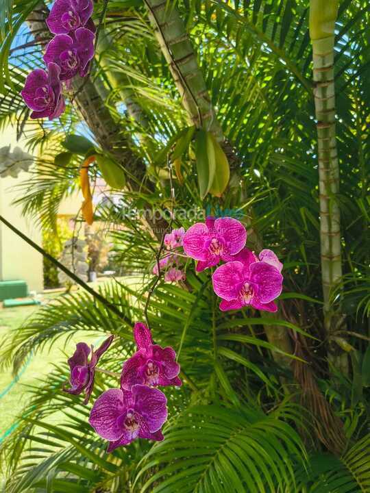 Casa para alquiler de vacaciones em Camaçari (Praia de Guarajuba)