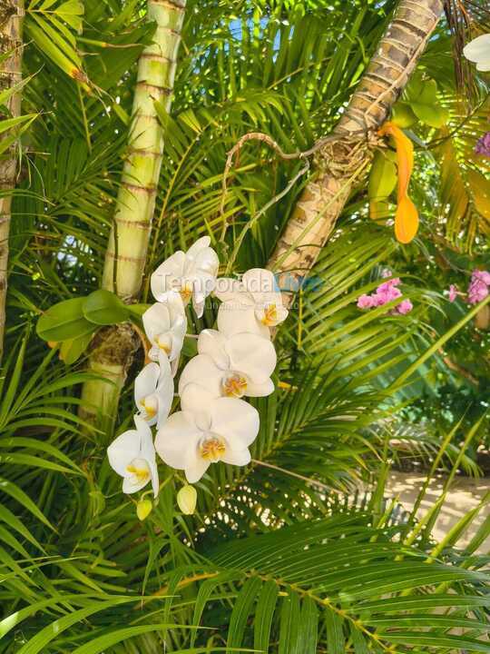 Casa para alquiler de vacaciones em Camaçari (Praia de Guarajuba)
