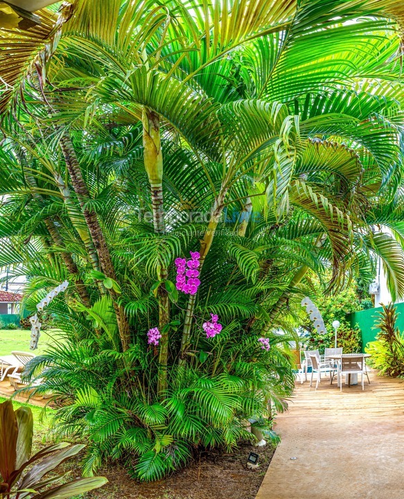 Casa para aluguel de temporada em Camaçari (Praia de Guarajuba)