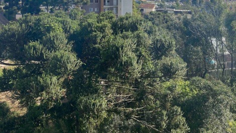 CENTRO SÃO JOSÉ DOS PINHAIS