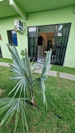 Apartamentos 2 qtos 4 pessoas