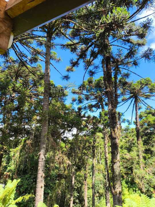 Casa para alquiler de vacaciones em Campos do Jordão (Jardim do Embaixador)