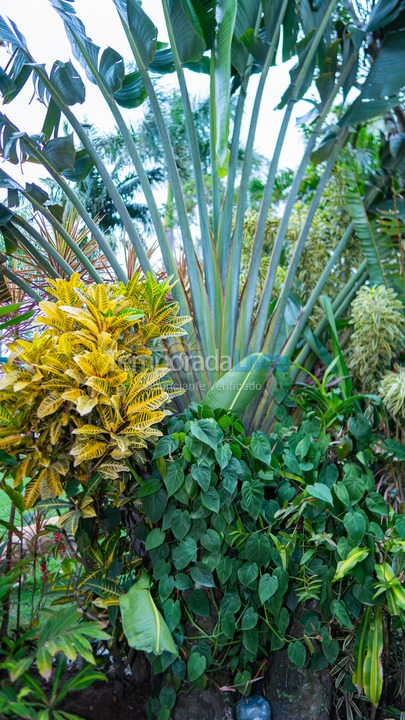 Casa para aluguel de temporada em Peruíbe (Bairro dos Prados)