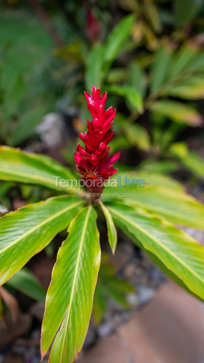 Casa para aluguel de temporada em Peruíbe (Bairro dos Prados)
