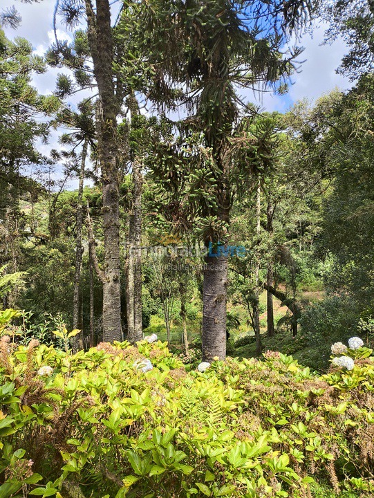 Casa para aluguel de temporada em Campos do Jordão (Jardim do Embaixador)