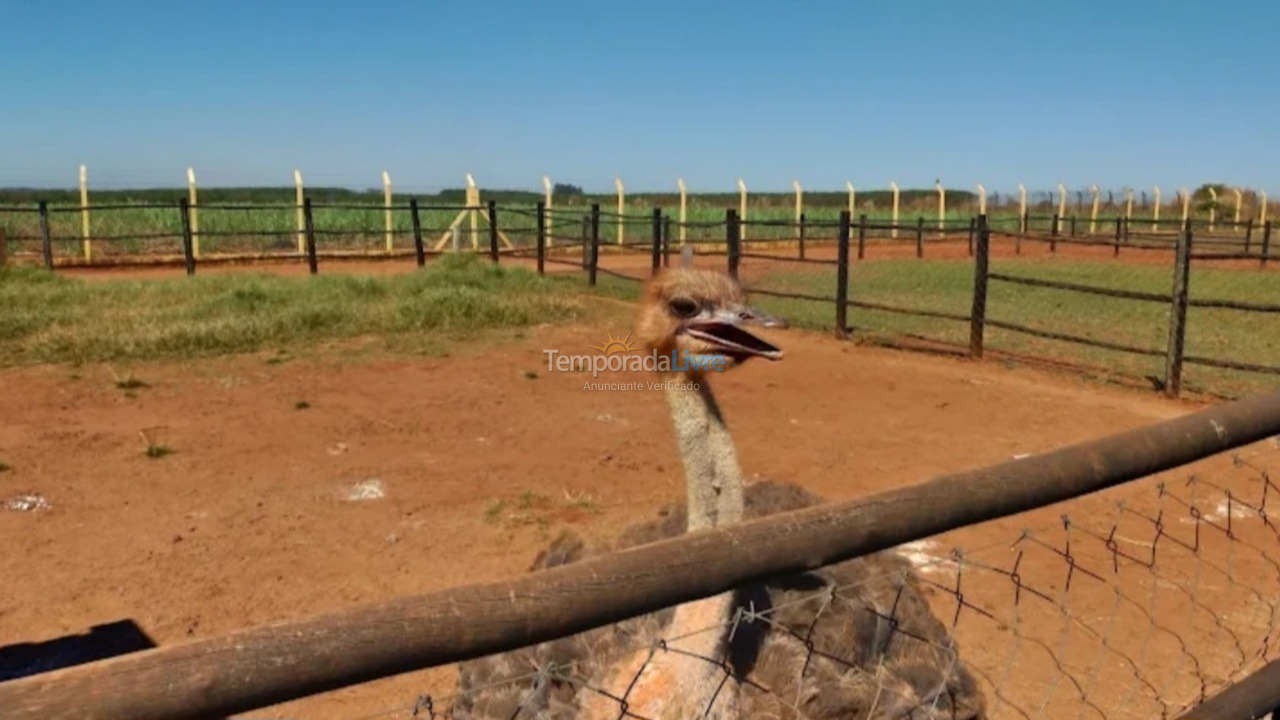 Apartamento para aluguel de temporada em Barretos (Aeroporto)