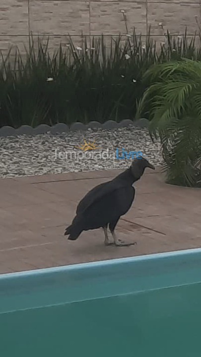 Casa para alquiler de vacaciones em São Francisco do Sul (Vila da Glória)