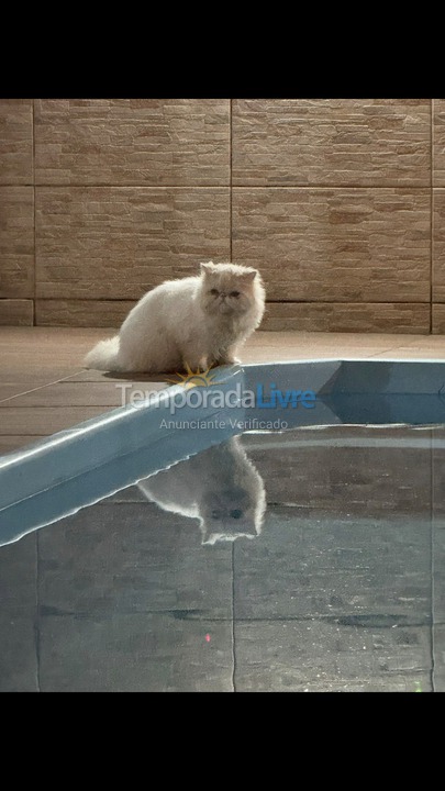 Casa para alquiler de vacaciones em São Francisco do Sul (Vila da Glória)