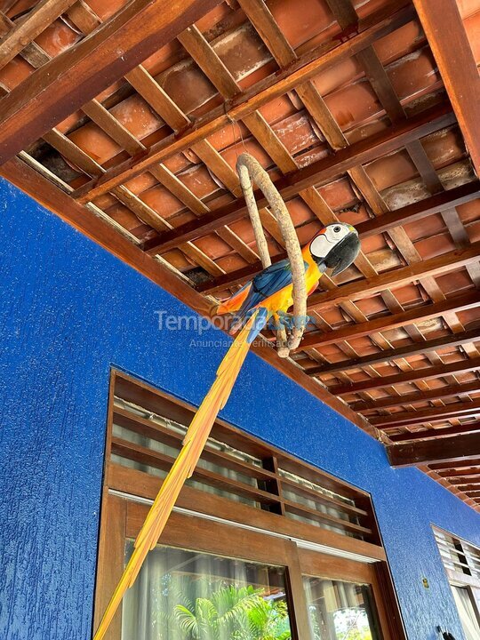 Apartamento para aluguel de temporada em Maragogi (Barra Grande)