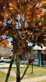 Chalé Wi-Fi Reforçado com Piscina a 50m Praia