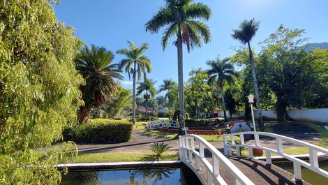 Ponte sobre lago menor