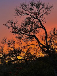 Solar João &amp; Maria