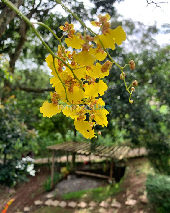 Chácara / sítio para aluguel de temporada em Teresópolis (Pessegueiros)