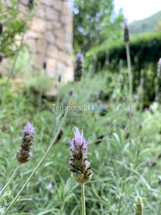 Chácara / sítio para aluguel de temporada em Teresópolis (Pessegueiros)