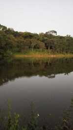 Campo - Refugio de la naturaleza 🌅