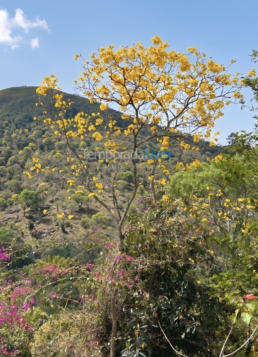 House for vacation rental in Teresópolis (Pessegueiros)