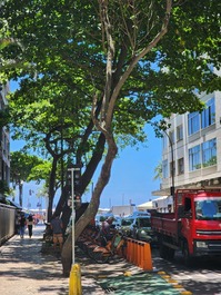 Copacabana - 2 quartos, quadra da praia, rua boêmia