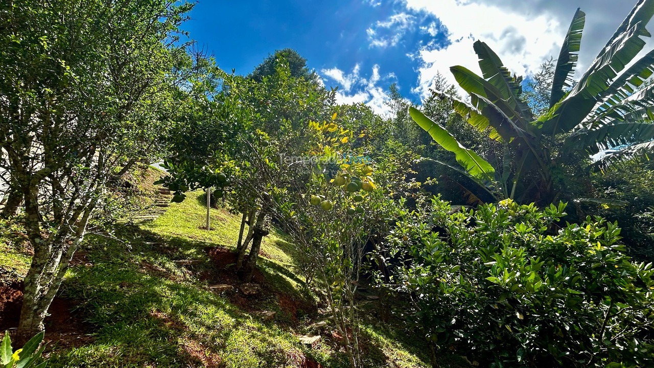 House for vacation rental in Teresópolis (Pessegueiros)