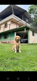 Se alquila casa completa por temporadas