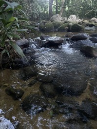 Casa Amarela Trekking, Kayaking and Study Retreat