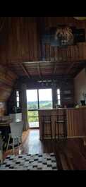 Cabin - fireplace - hot tub - top view - panoramic swing