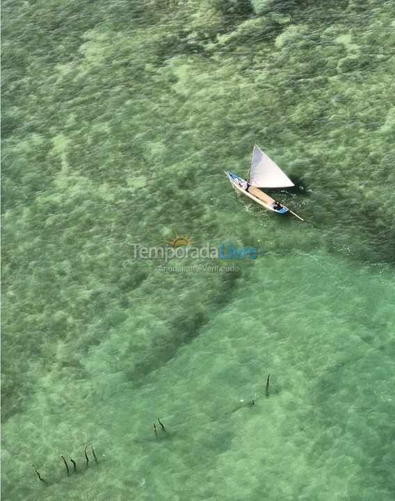 Casa para aluguel de temporada em Passo de Camaragibe (Praia do Marceneiro)