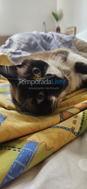 Chácara / sítio para aluguel de temporada em Mairinque (Condomínio Porta do Sol)