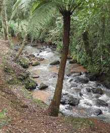 Corredeira na propriedade 