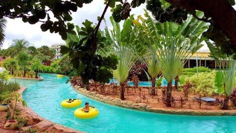 Suites de playa calientes